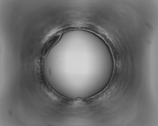 X0000111791304200908061128