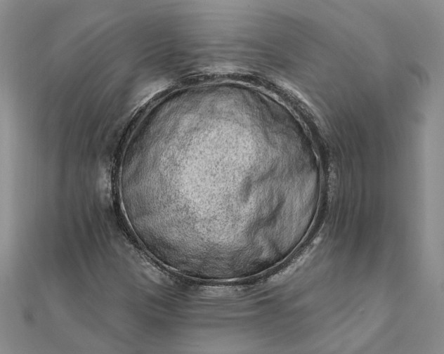 X0000111791305200908061128