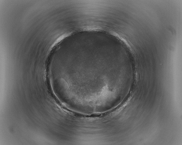 X0000111791306200908061128