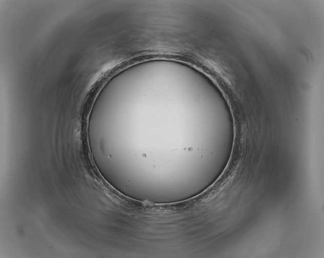 X0000111791307200908061128