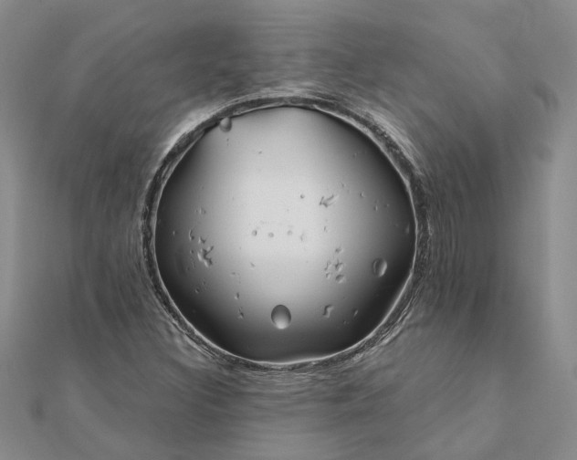 X0000111791308200908061128