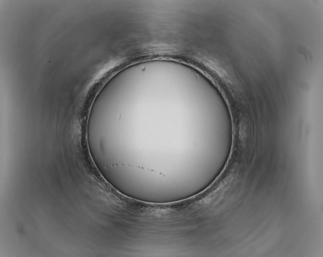 X0000111791309200908061128