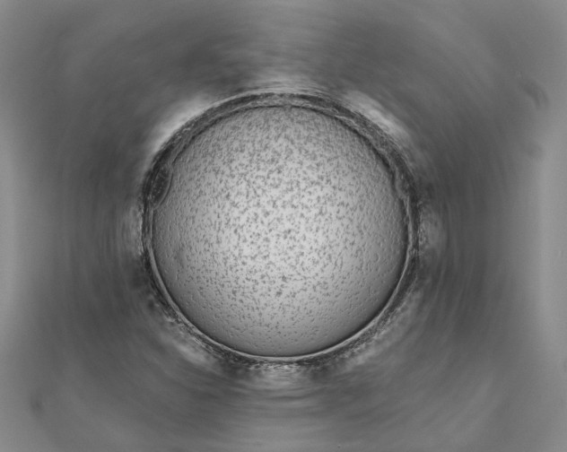 X0000111791310200908061128