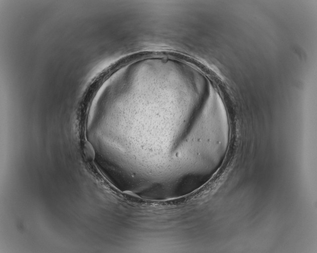 X0000111791311200908061128