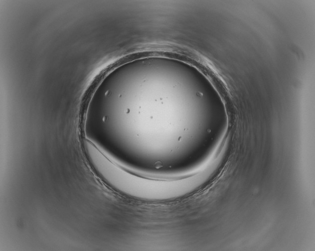 X0000111791312200908061128