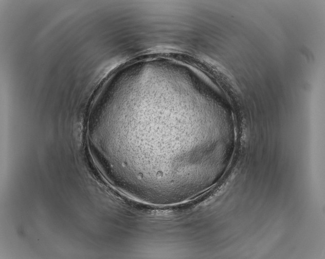 X0000111791313200908061128