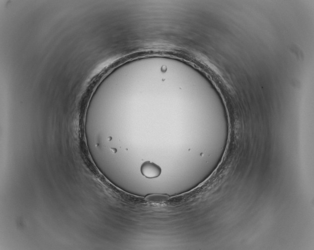 X0000111791315200908061128