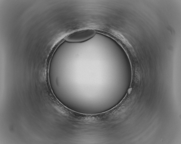 X0000111791316200908061128