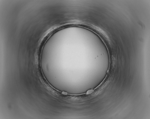 X0000111791318200908061128