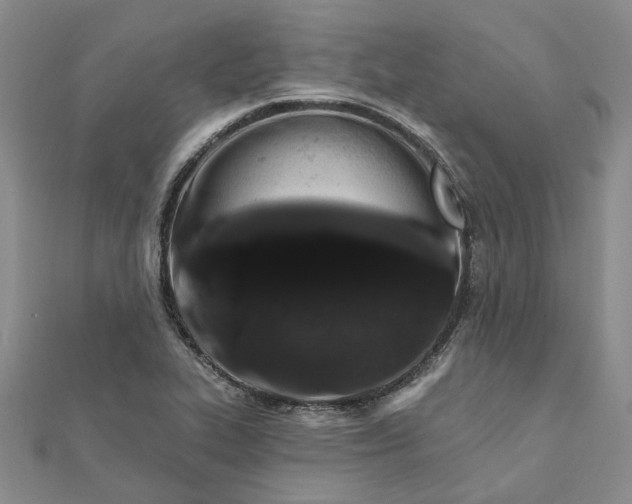 X0000111791319200908061128