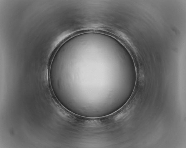 X0000111791320200908061128