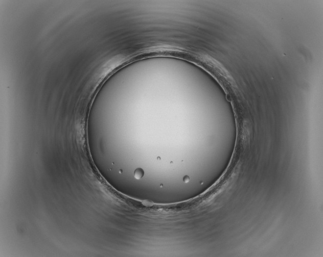 X0000111791321200908061128