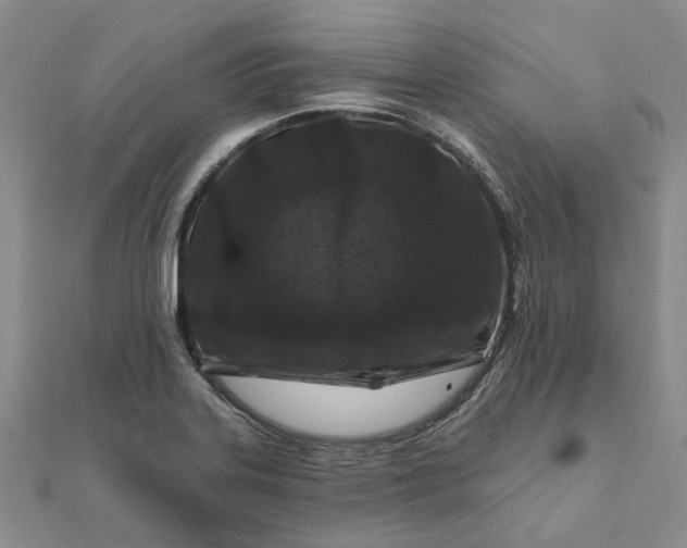 X0000111791323200908061128