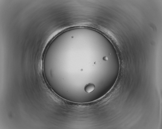 X0000111791324200908061128