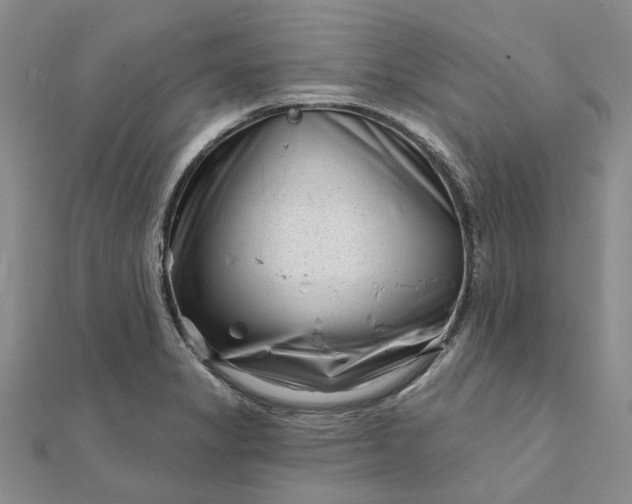 X0000111791325200908061128