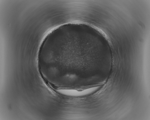 X0000111791327200908061128