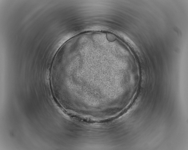 X0000111791329200908061128