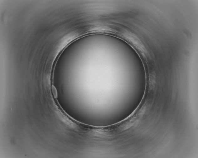 X0000111791330200908061128