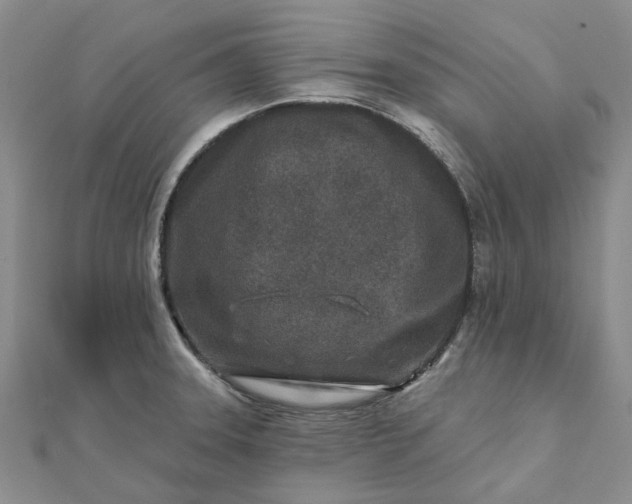 X0000111791331200908061128