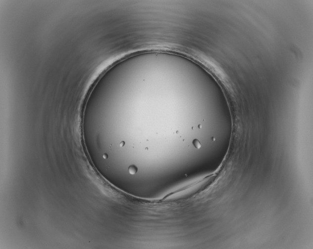 X0000111791332200908061128