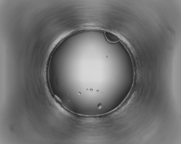 X0000111791333200908061128