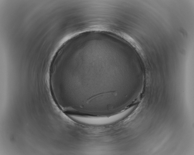 X0000111791334200908061128