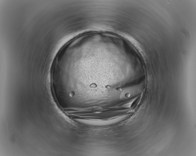 X0000111791335200908061128