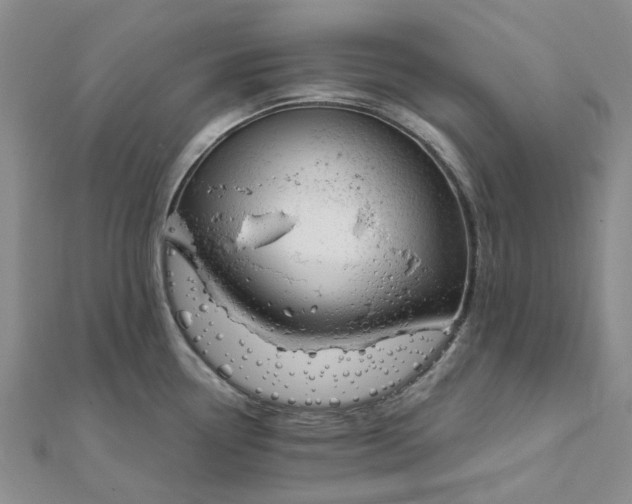 X0000111791338200908061128