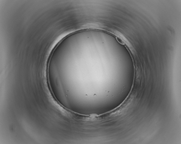 X0000111791339200908061128