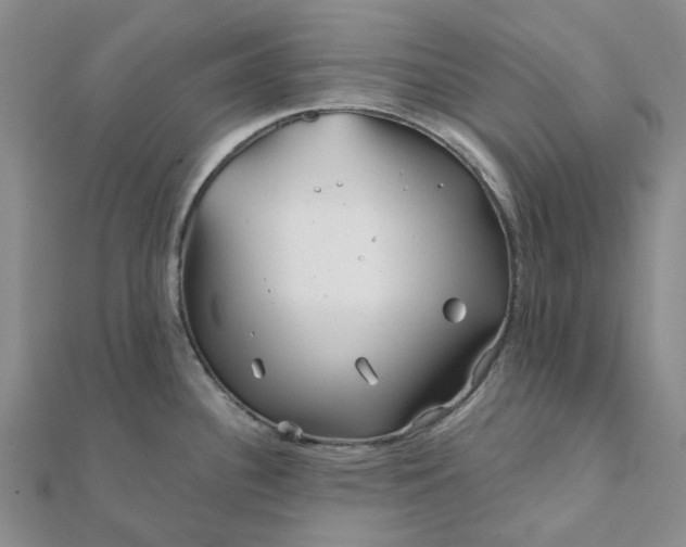 X0000111791340200908061128