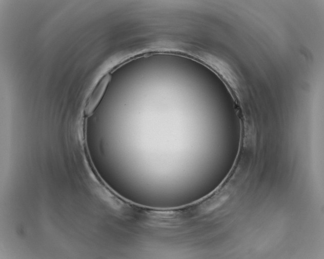 X0000111791342200908061128