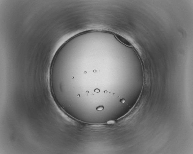 X0000111791343200908061128