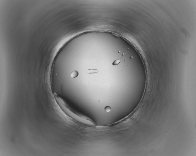 X0000111791344200908061128