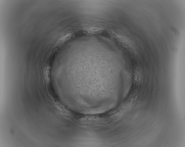 X0000111791346200908061128