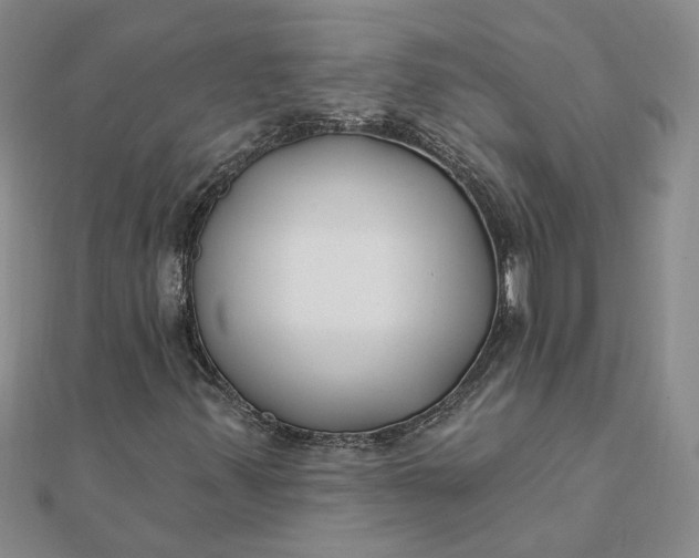 X0000111791347200908061128