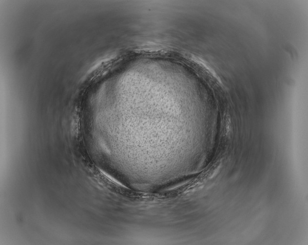 X0000111791350200908061128