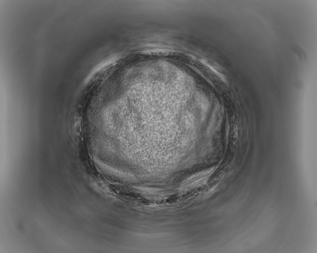 X0000111791351200908061127