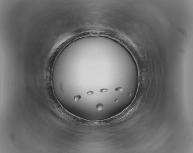 X0000111791352200908061127