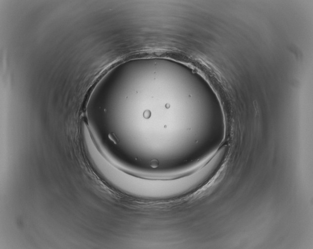 X0000111791353200908061127