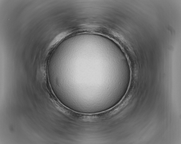 X0000111791354200908061127