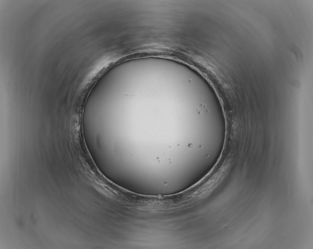 X0000111791355200908061127