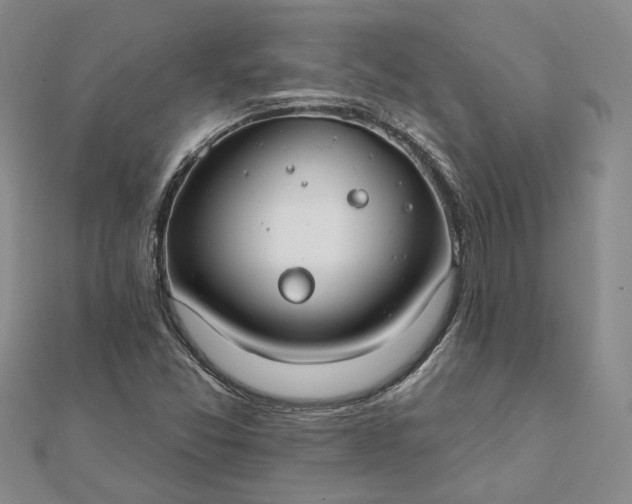 X0000111791357200908061127