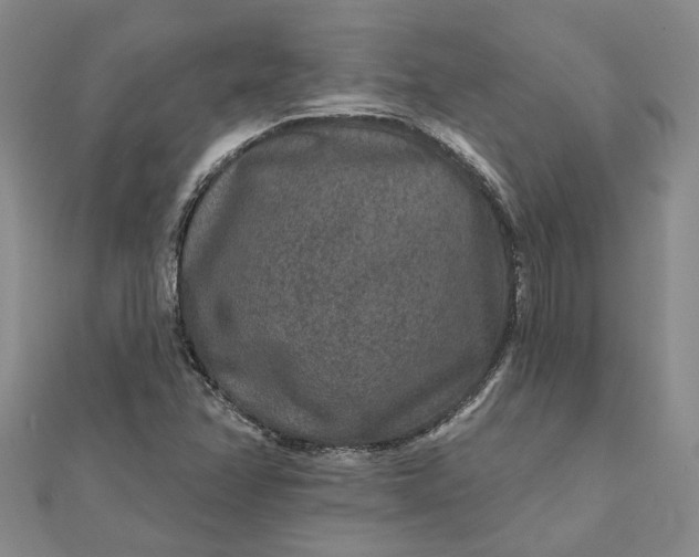 X0000111791358200908061127