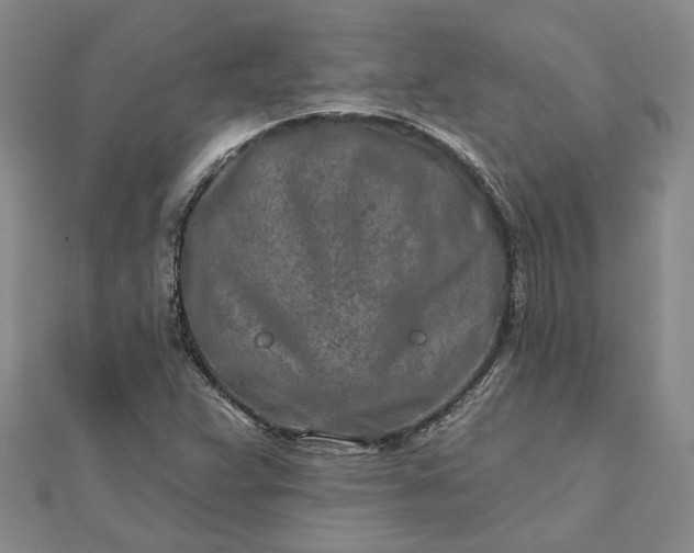 X0000111791359200908061127