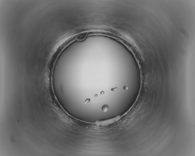 X0000111791360200908061127