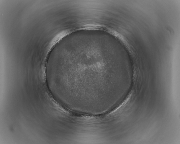 X0000111791362200908061127