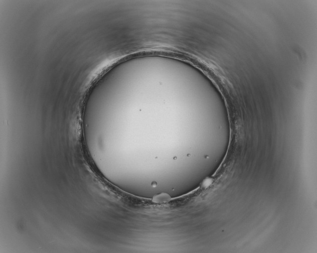 X0000111791363200908061127