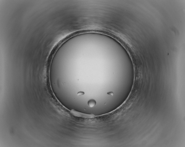 X0000111791364200908061127