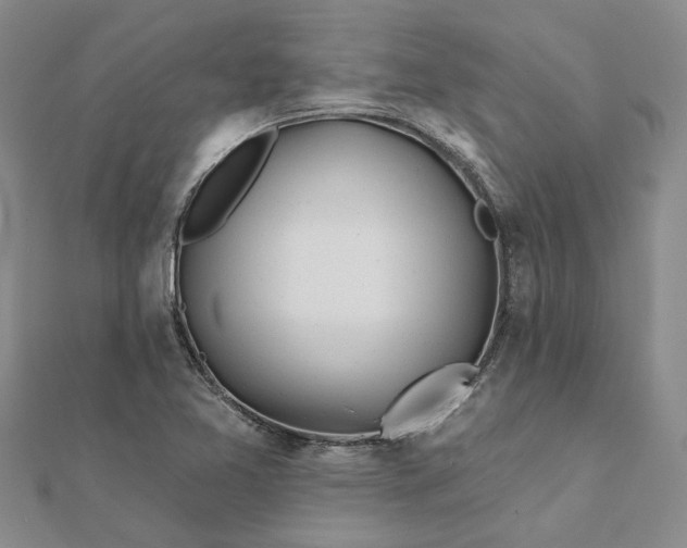 X0000111791365200908061127