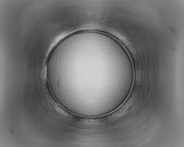 X0000111791366200908061127